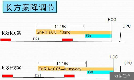 长方案促排时间要更久