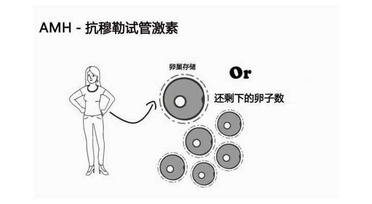 30岁做试管婴儿成功率高吗