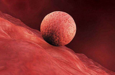 海南女性子宫内膜薄，干细胞治疗怎么样？