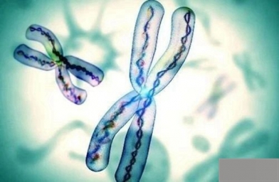 海南导致胚胎染色体异常是怎么回事？染色体异常进行三代试管成功率高吗？
