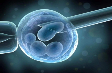 海南格鲁吉亚ReproArt诊所专家解释取卵对卵巢的伤害大吗？