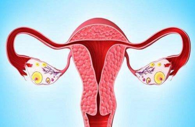 海南格鲁吉亚ReproArt诊所专家解释取卵后卵巢该如何保养？