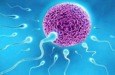 海南备孕试管婴儿知识_排卵期不排卵怎么办？